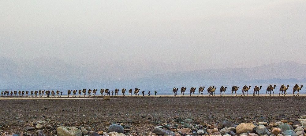 Caravane
